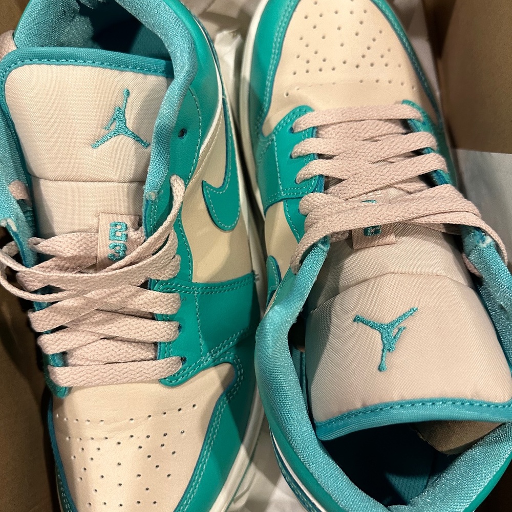 Nike/Jordan dunk low sneakers